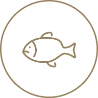 アイコン：魚